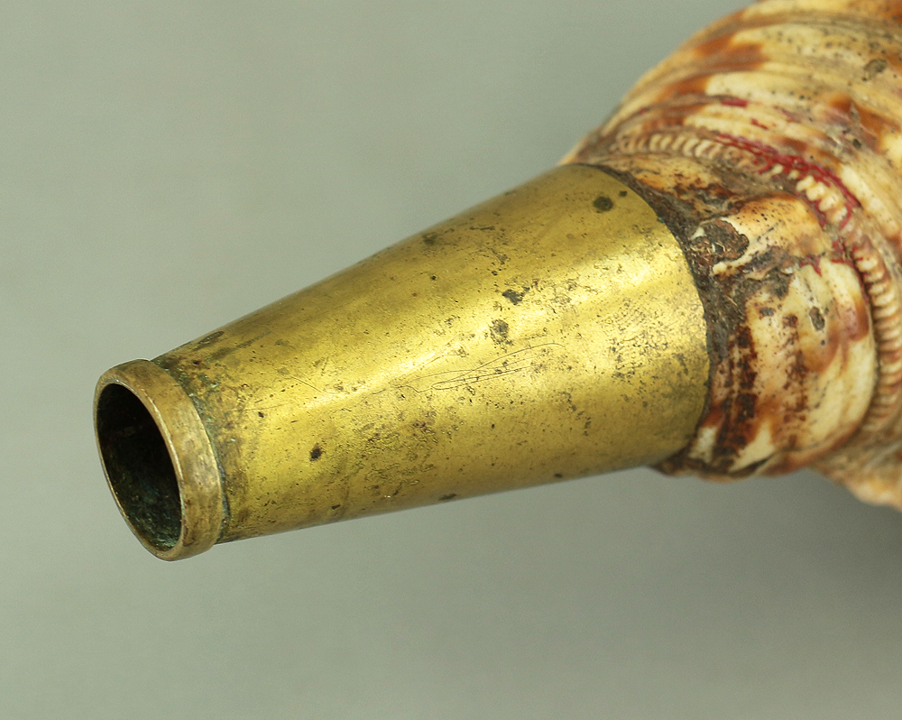 Prehistorical Shell Instrument Large Trumpet shell Horagai 法螺貝 Japanese Traditional Instrument with R ...
